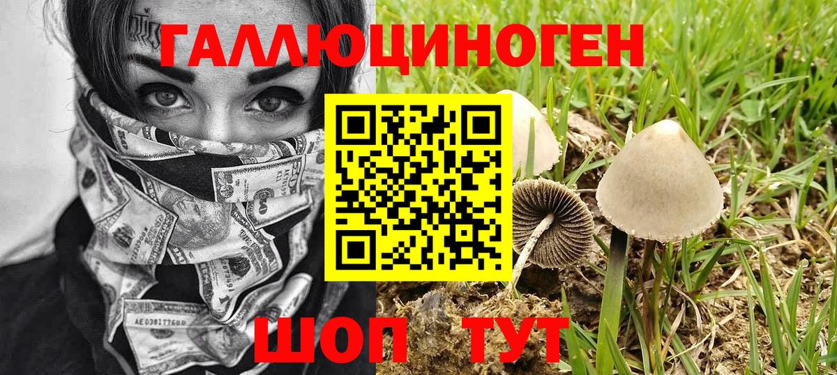 хочу   Псилоцибиновые грибы мухоморы  Вход с VPN  Псилоцибиновые грибы Psilocybine cubensis  Богородск 