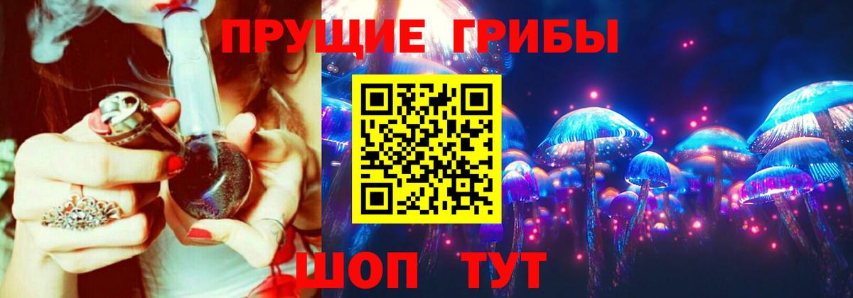 Галлюциногенные грибы Psilocybine cubensis Богородск
